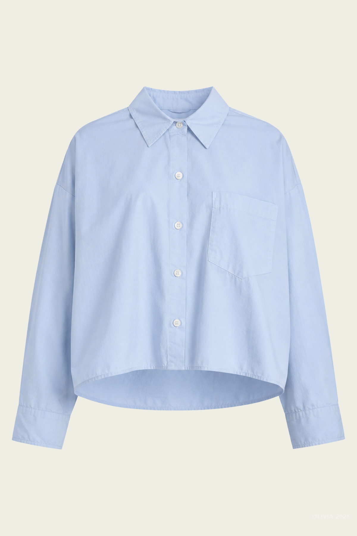 Petit Ami Shirt in French Blue