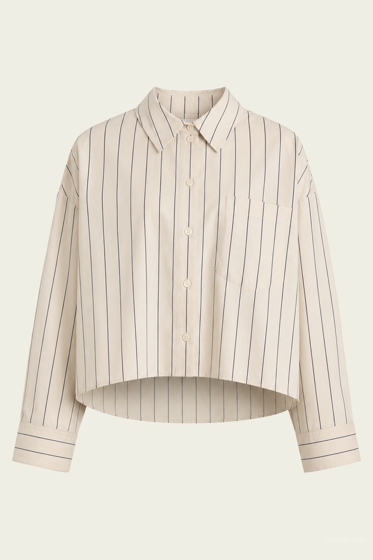 Petit Ami Shirt in Ramble Stripe
