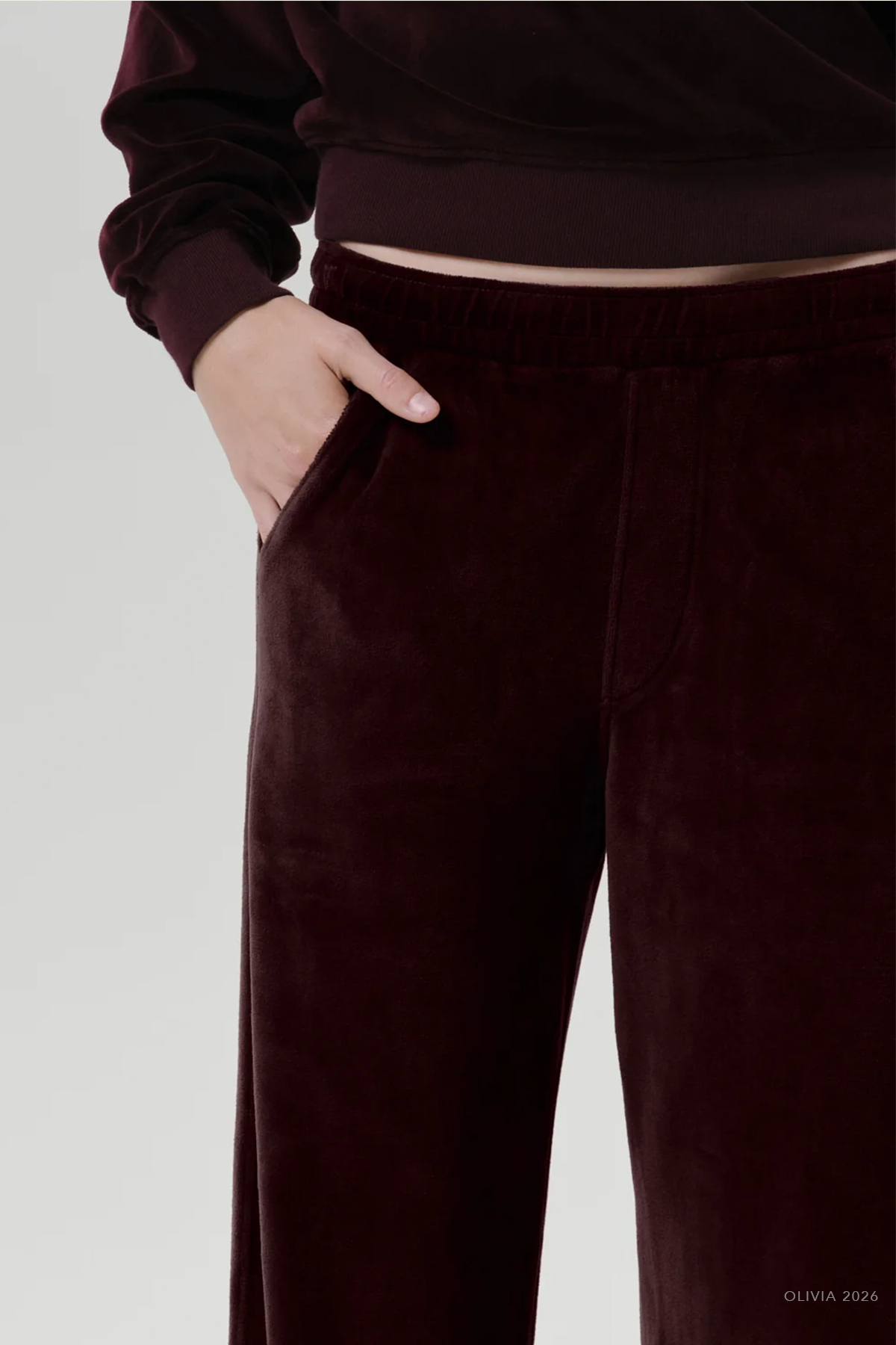 Brynn Drawstring Velour Pant in Burgundy