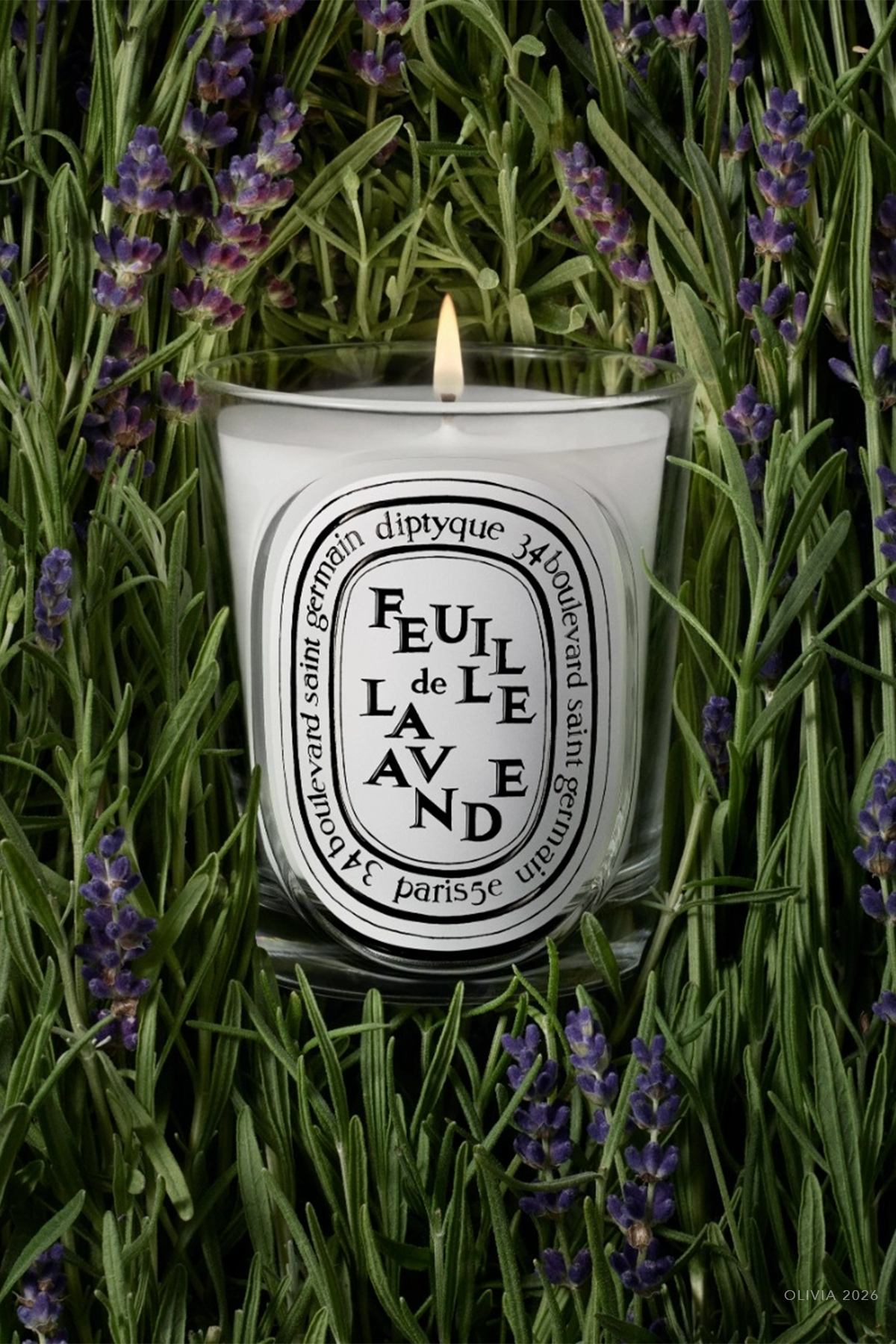 Feuille de Lavande Classic Candle 6.7oz - NEW VERSION