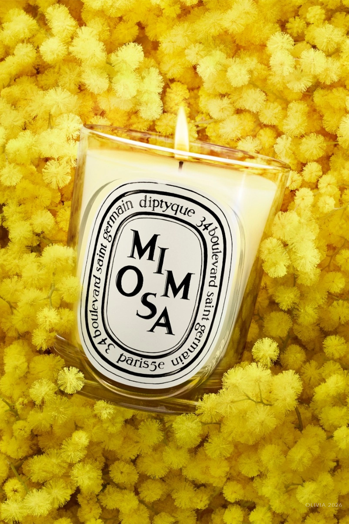 Mimosa Classic Candle 6.7oz - NEW VERSION