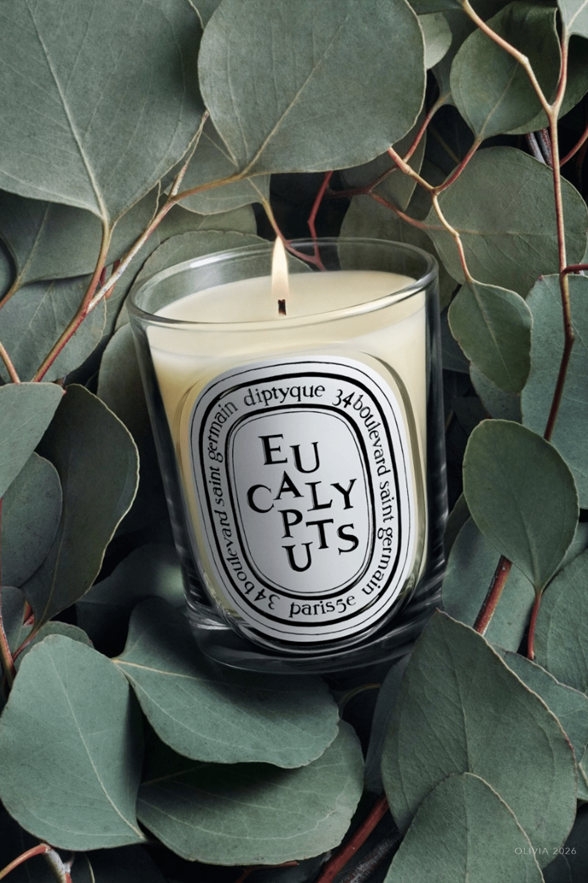 Eucalyptus Classic Candle 6.7oz - NEW VERSION - shop - olivia.com