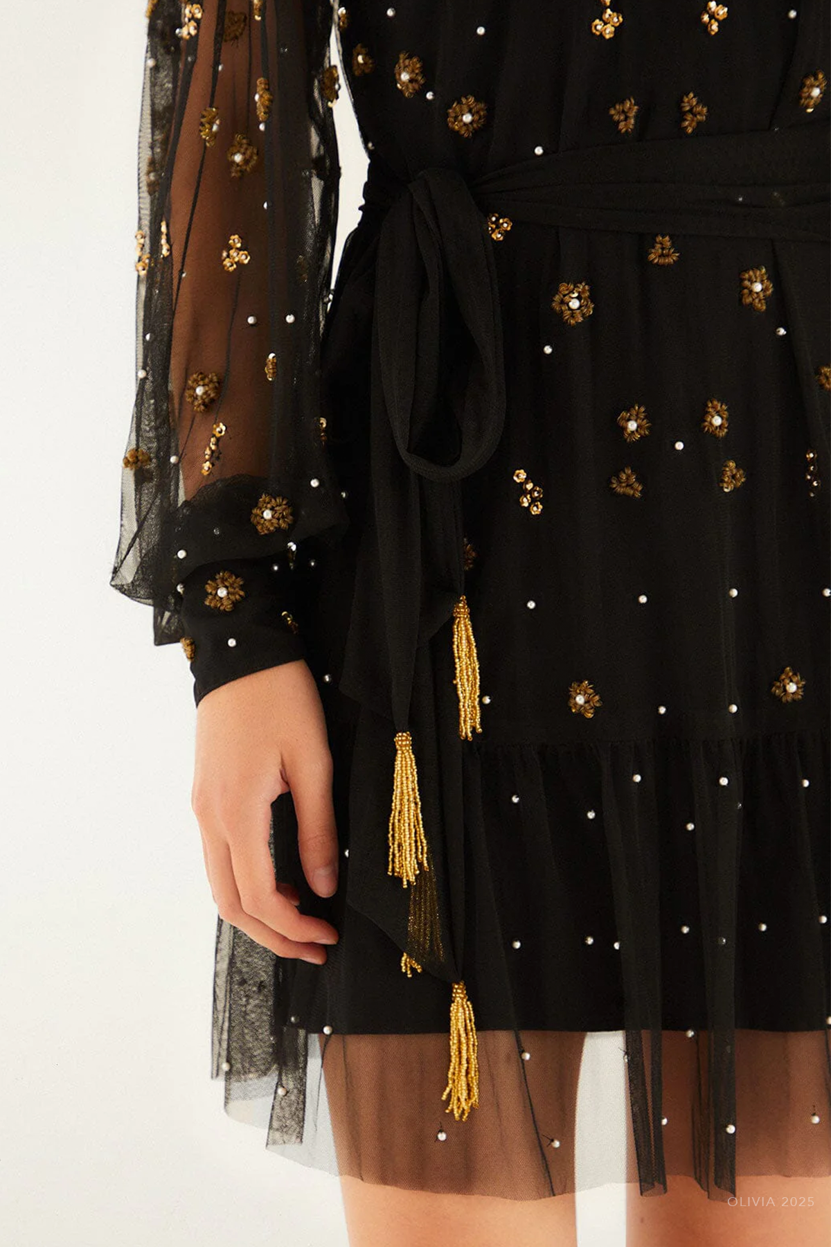 Black Embroidered Tulle Belted Long Sleeve Mini Dress