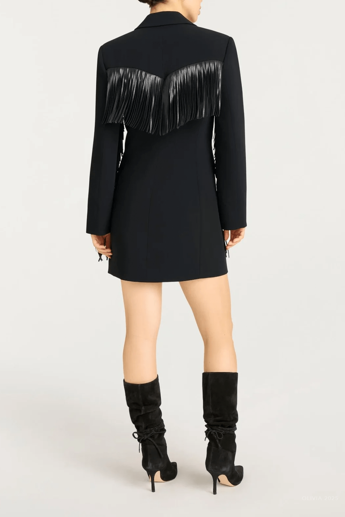 Fringe Joelette Dress in Black - shop - olivia.com