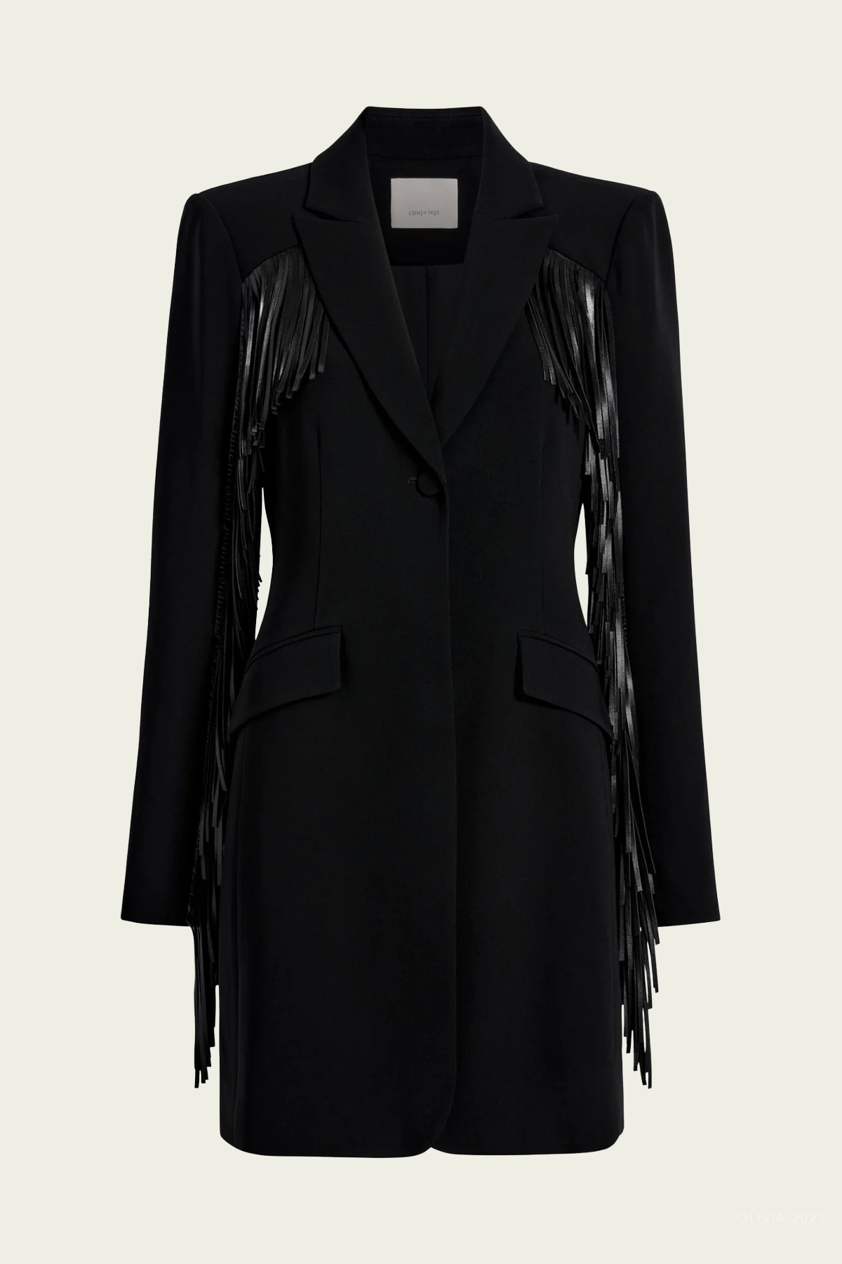 Fringe Joelette Dress in Black - shop - olivia.com
