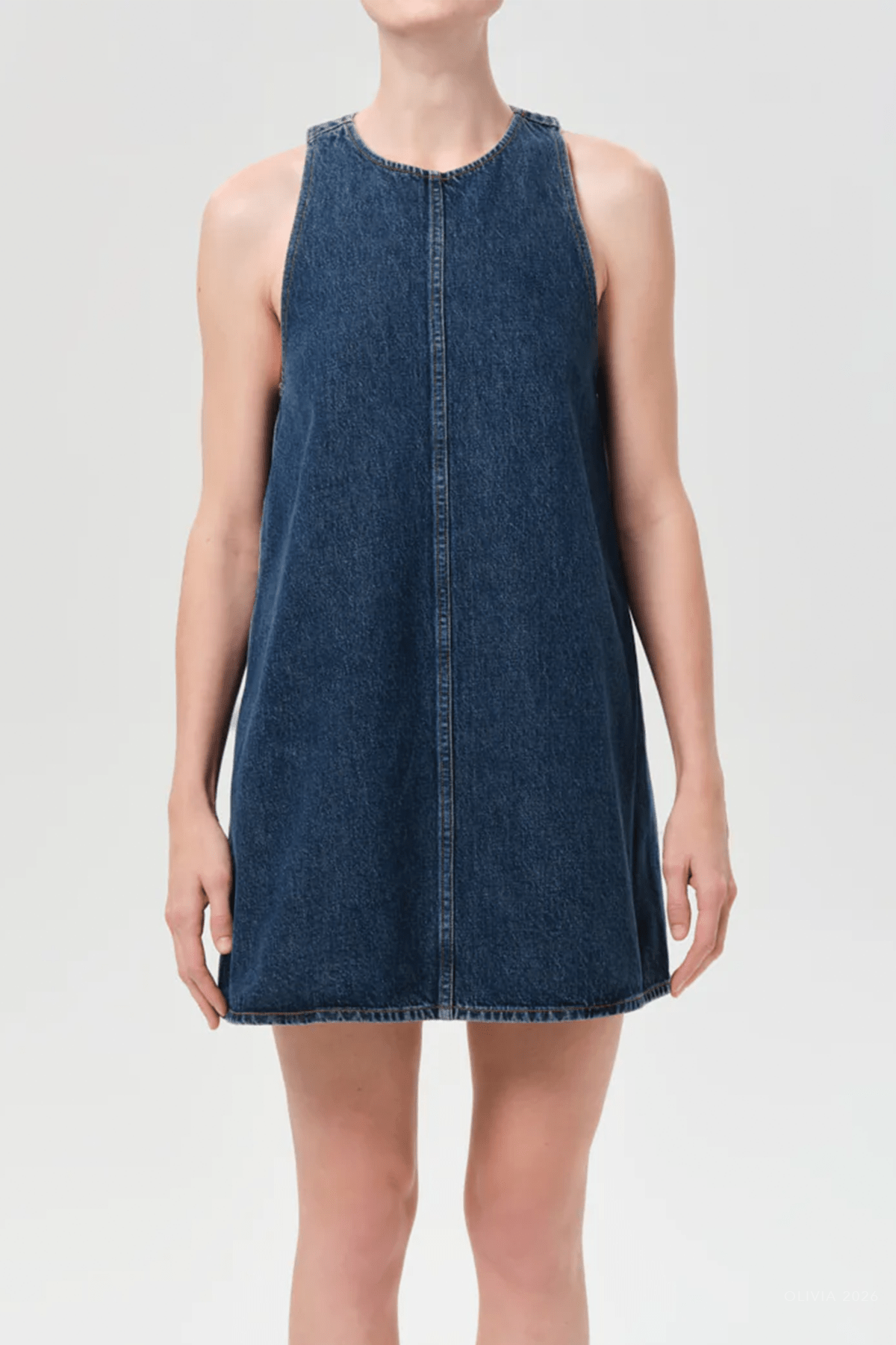 Harriet Dress (Weightless) in Term - shop - olivia.com