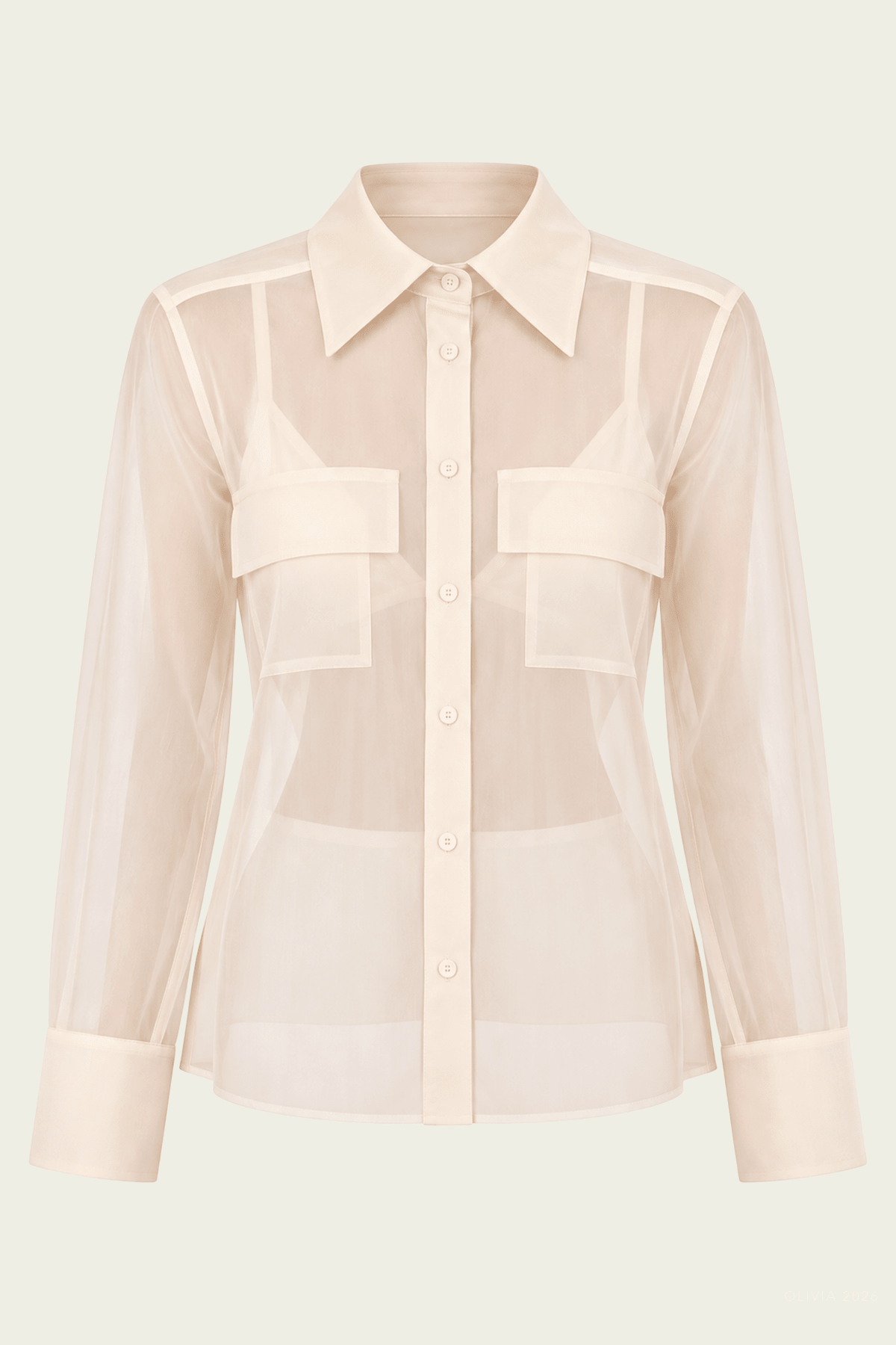 Haze Sheer Blouse in Ivory - shop-olivia.com