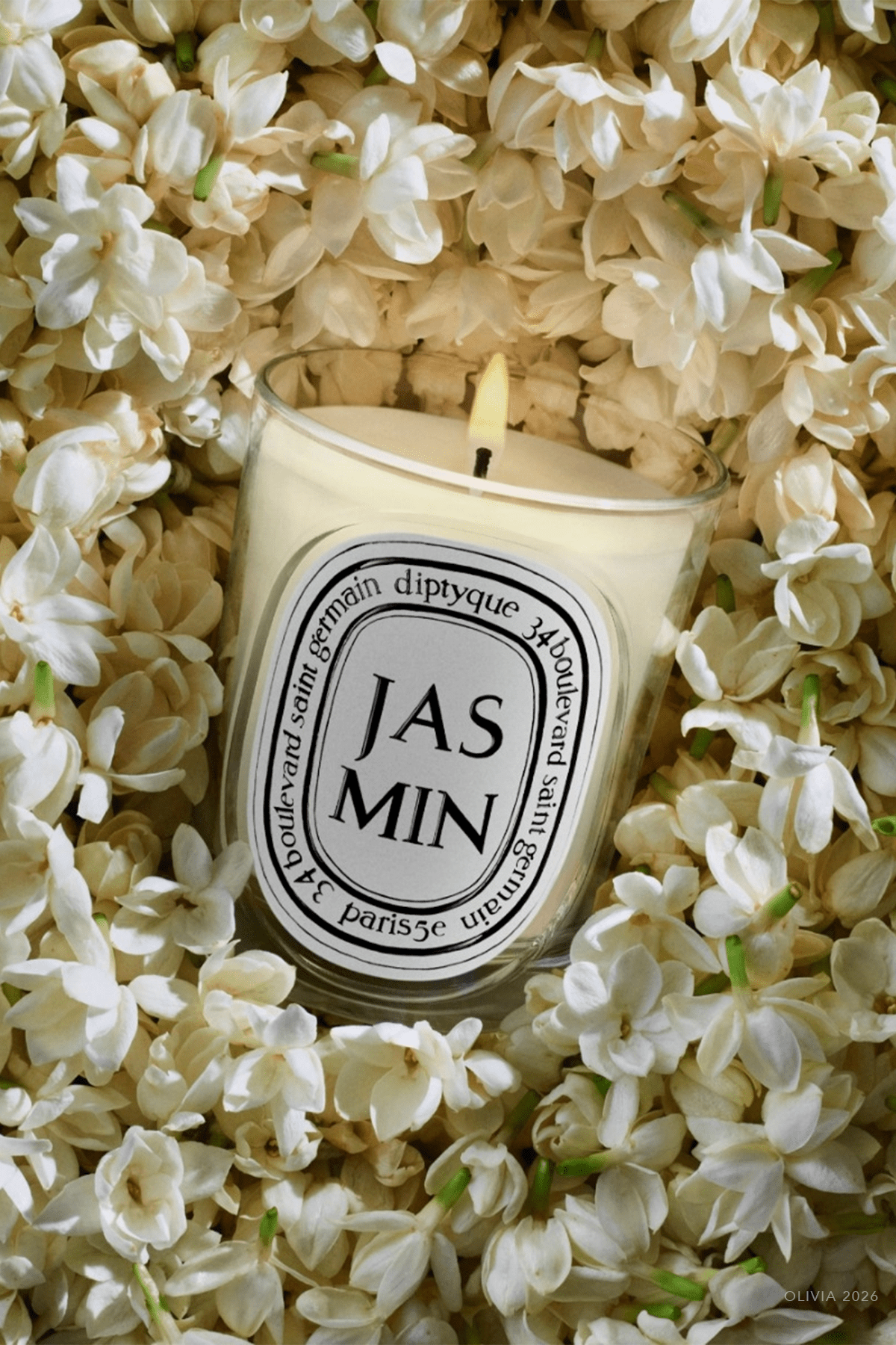 Jasmin Classic Candle 6.7oz - NEW VERSION - shop - olivia.com