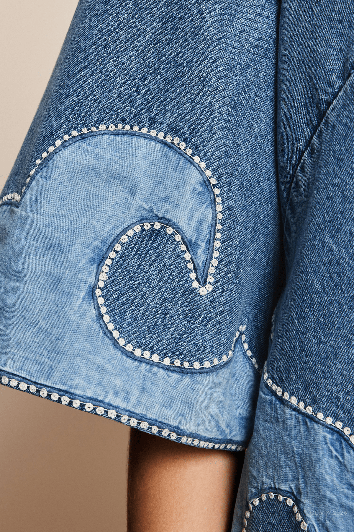 Jesse Denim Applique Mini Dress in Blue - shop-olivia.com