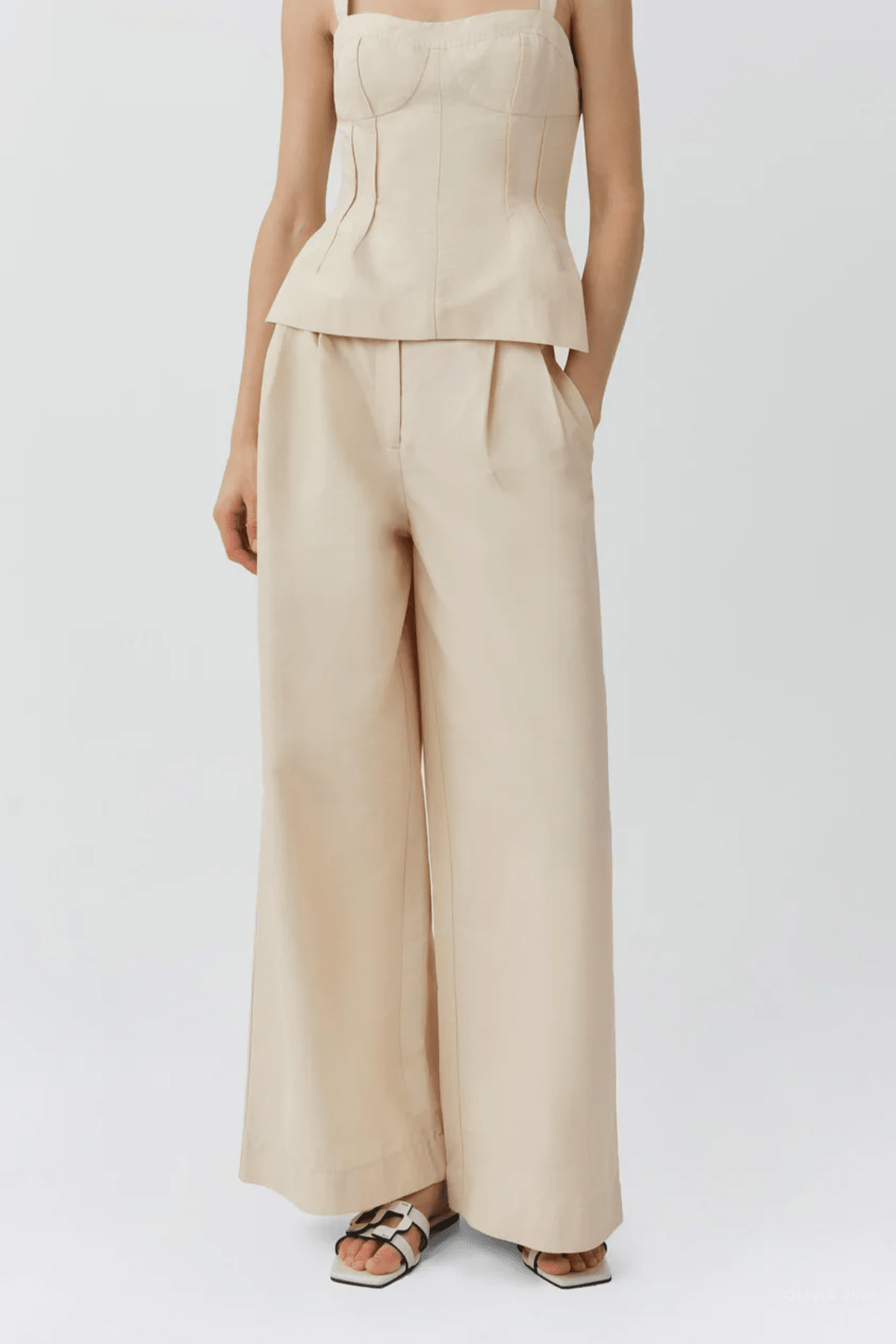 Leroy Pleated Wide Leg Pant in Stone - shop-olivia.com