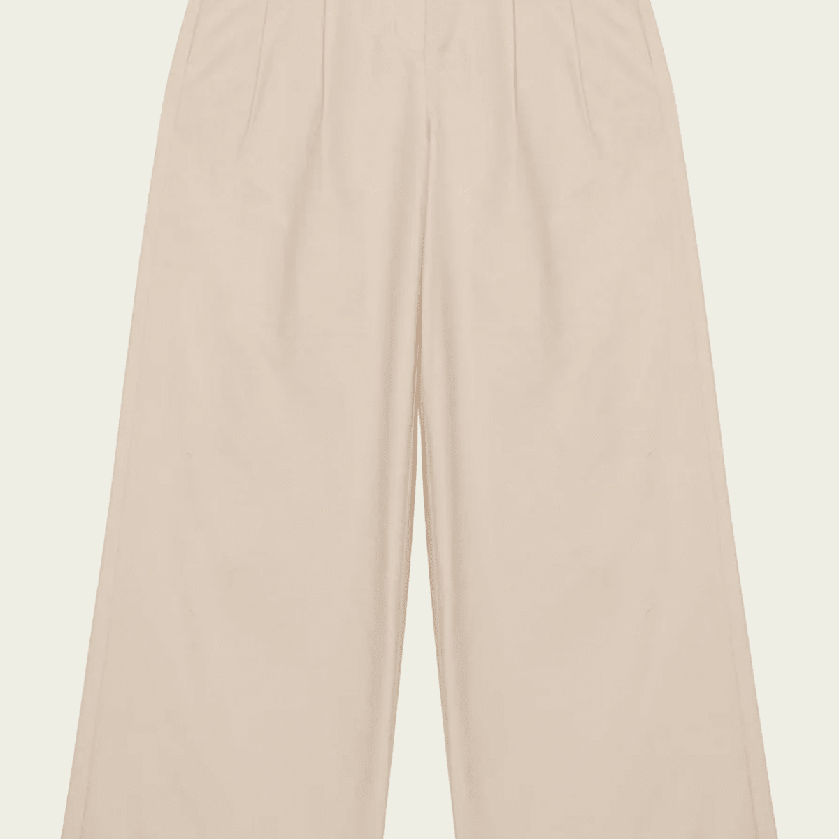 Leroy Pleated Wide Leg Pant in Stone