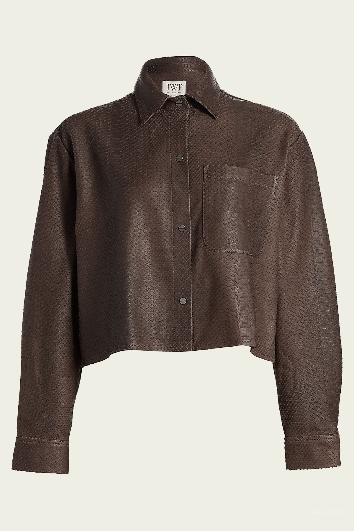 Little Big Joe Shirt in Dark Chocolate - shop - olivia.com