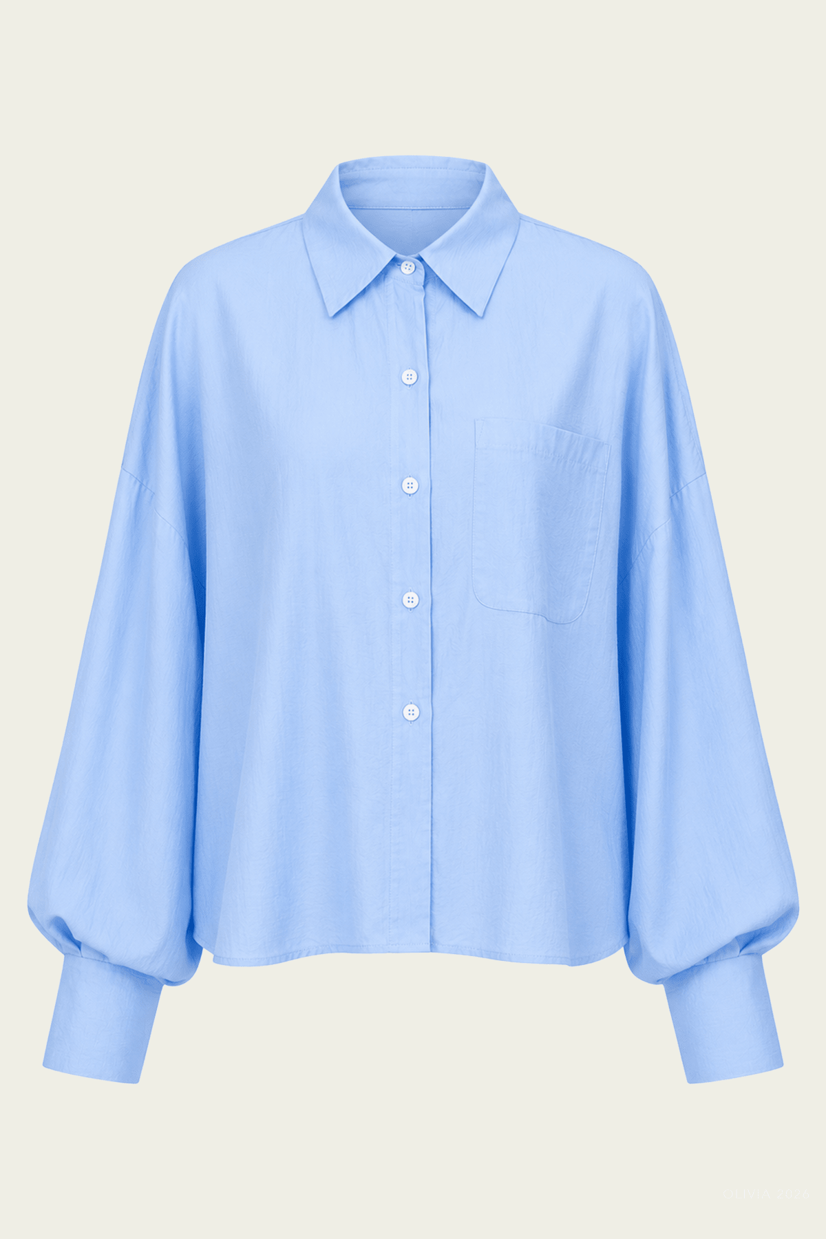 Lois Shirt in Blue - shop-olivia.com