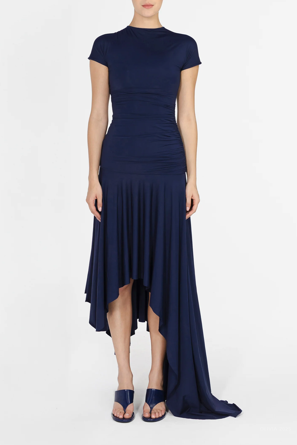 Cardozo Dress in Navy Blue