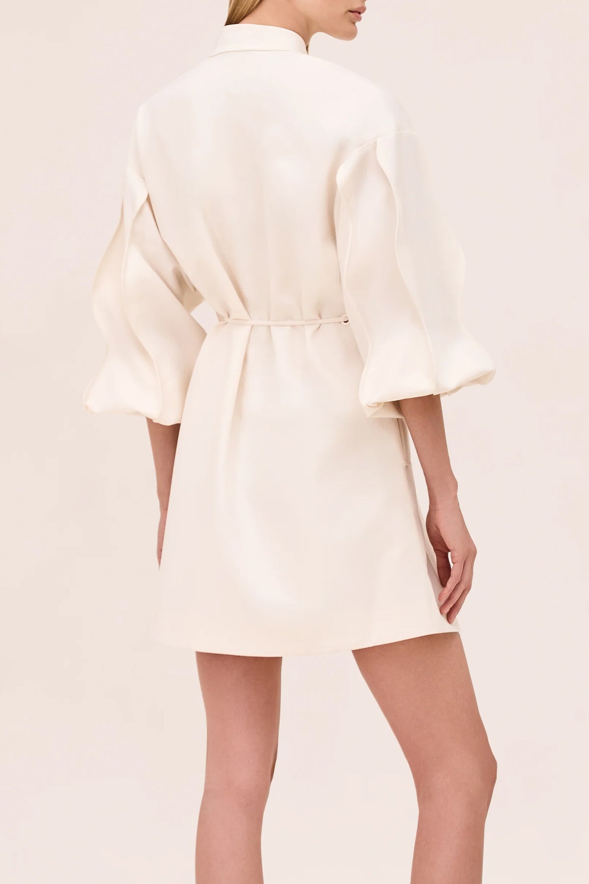 Miley Mini Dress in Ivory - shop - olivia.com