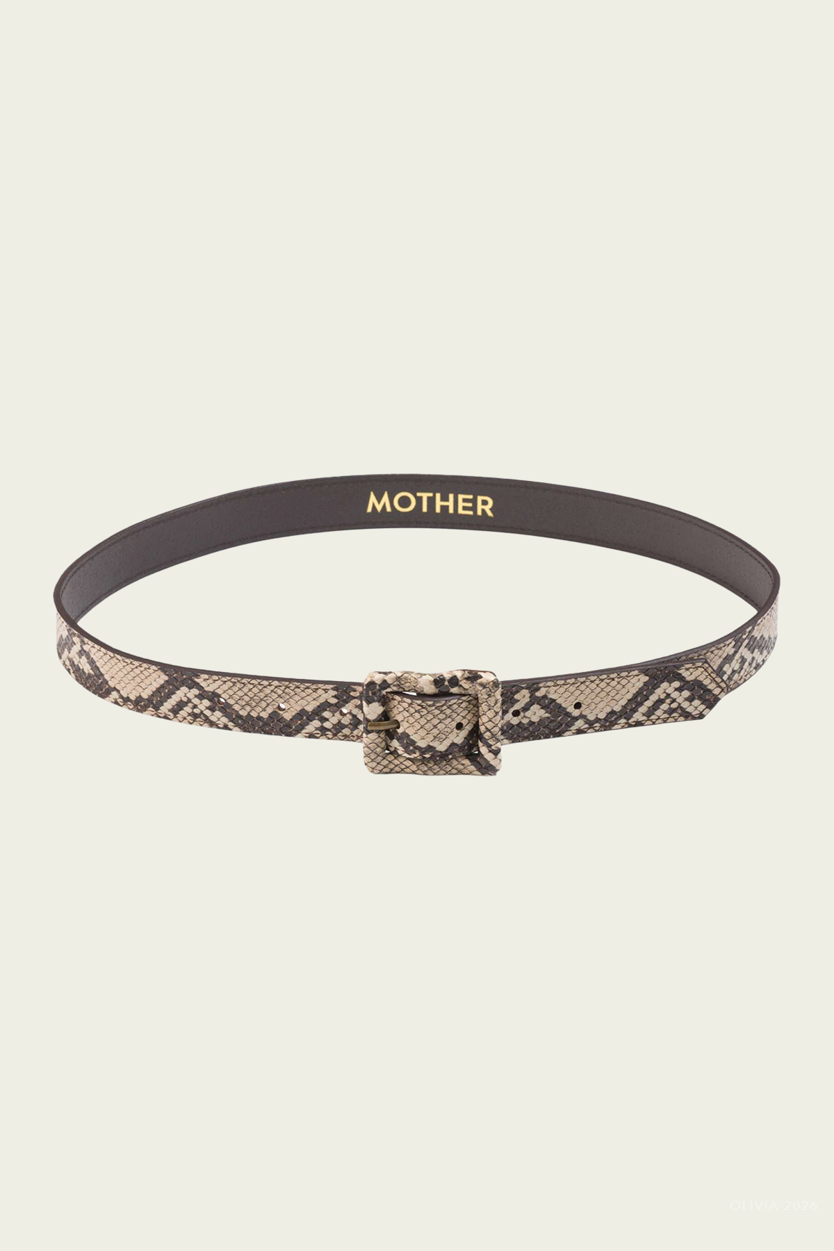 The Constructor Belt in Constructor