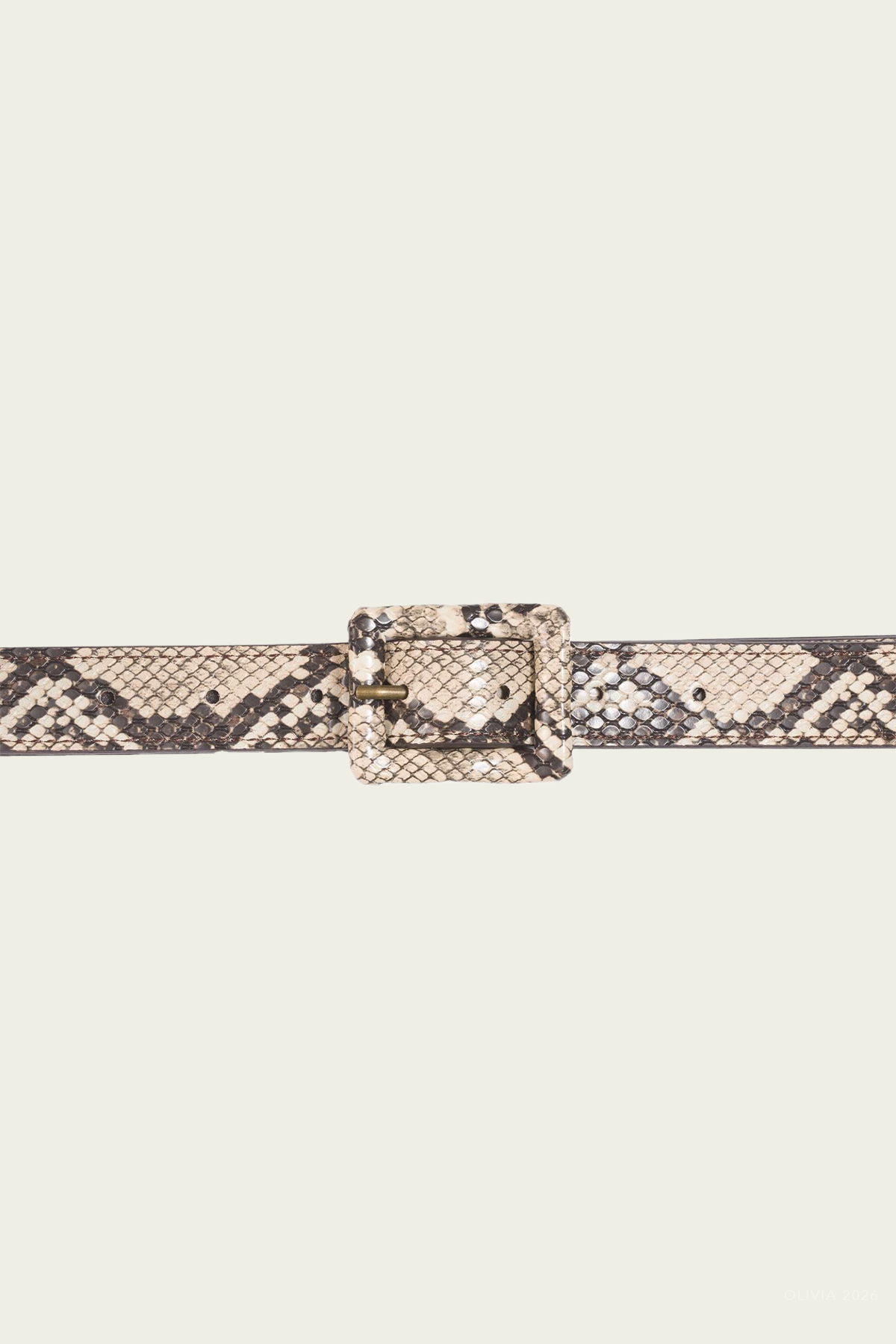 The Constructor Belt in Constructor
