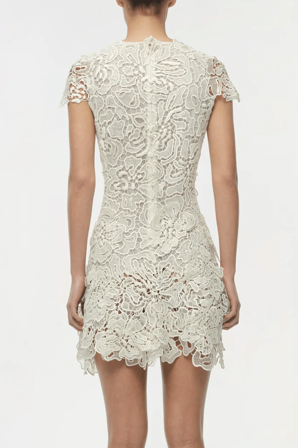 Novelle Lace Mini Dress in White - shop - olivia.com