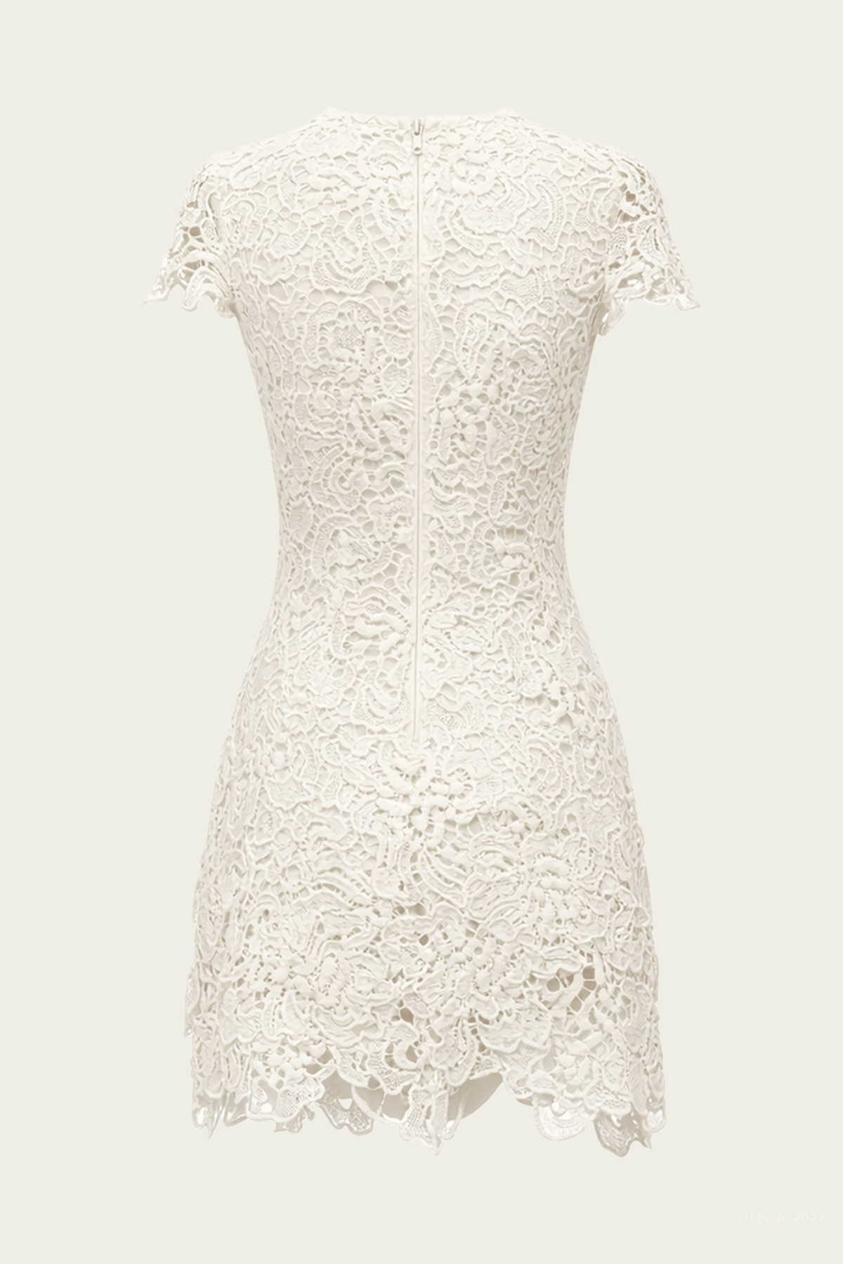 Novelle Lace Mini Dress in White - shop - olivia.com