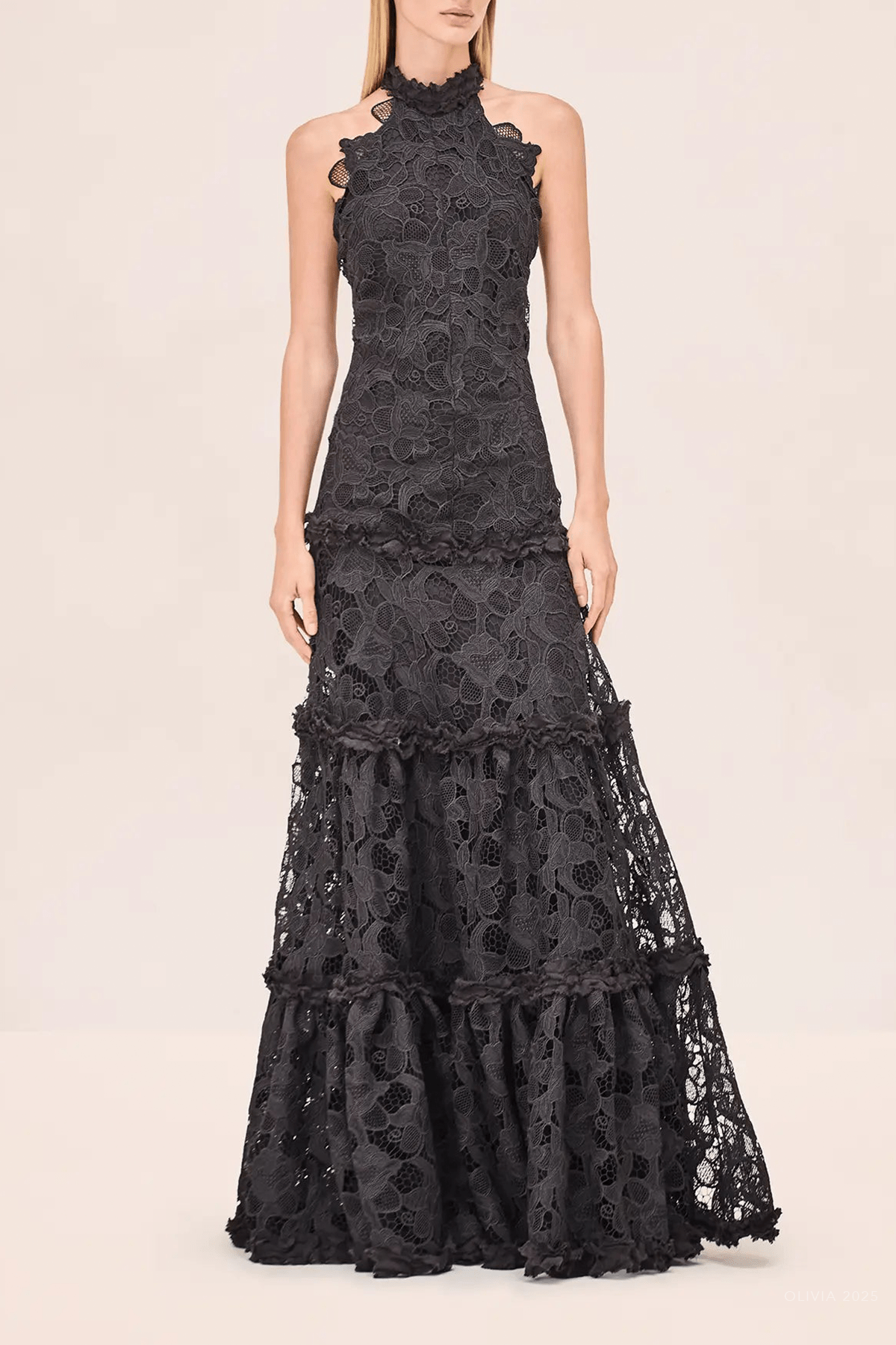 Paloma Dress in Black - shop - olivia.com