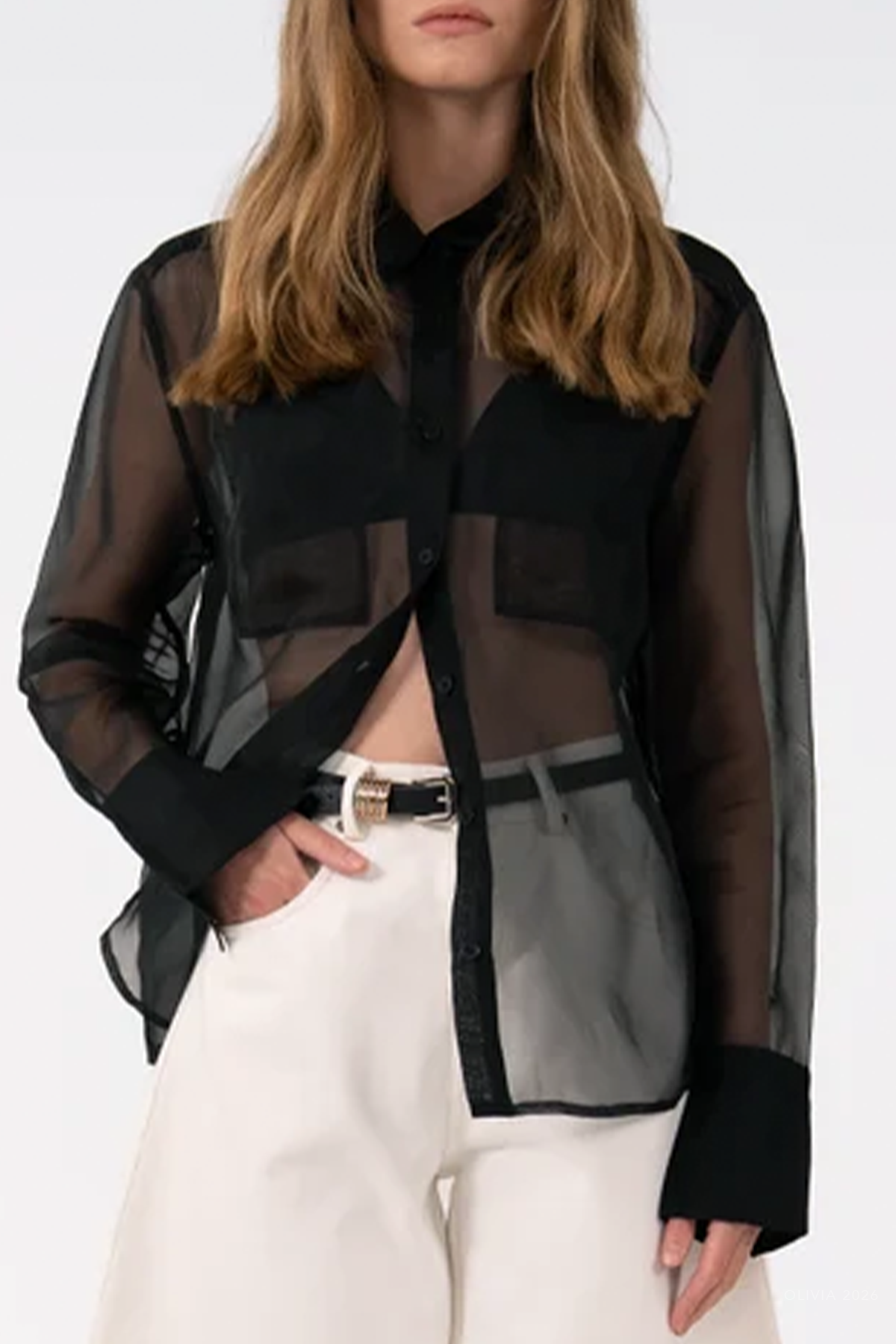 Haze Sheer Blouse in Black