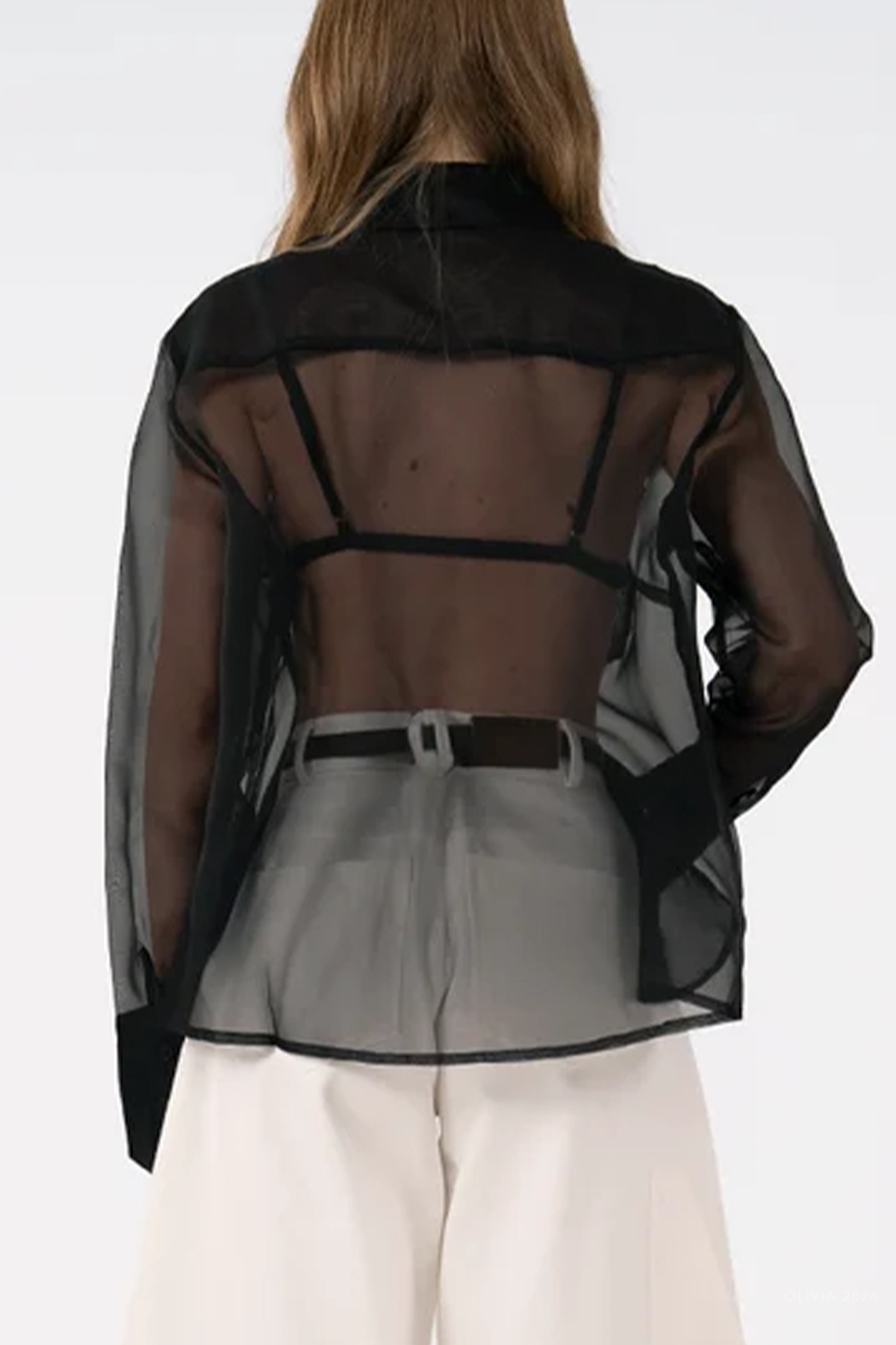 Haze Sheer Blouse in Black