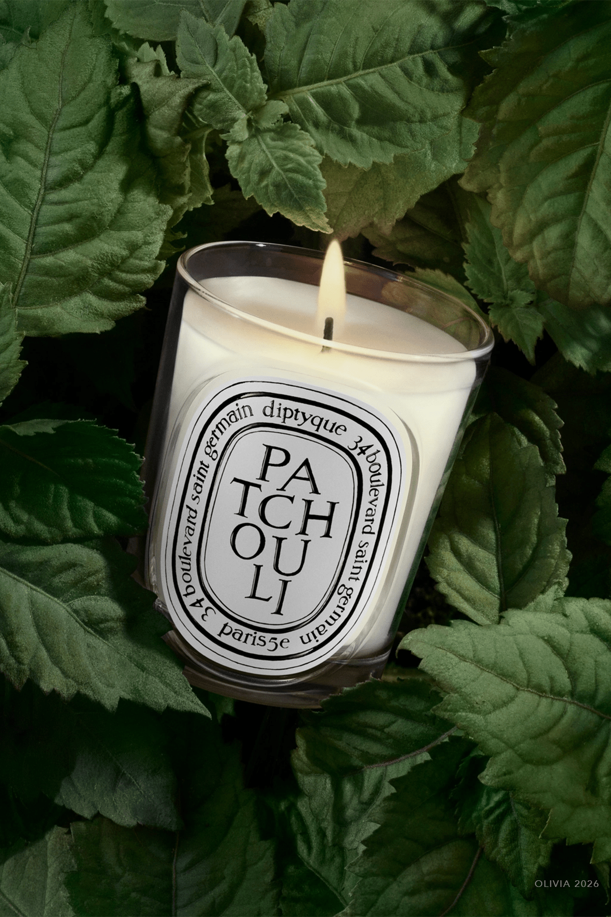 Patchouli Classic Candle 6.7oz - NEW VERSION - shop - olivia.com