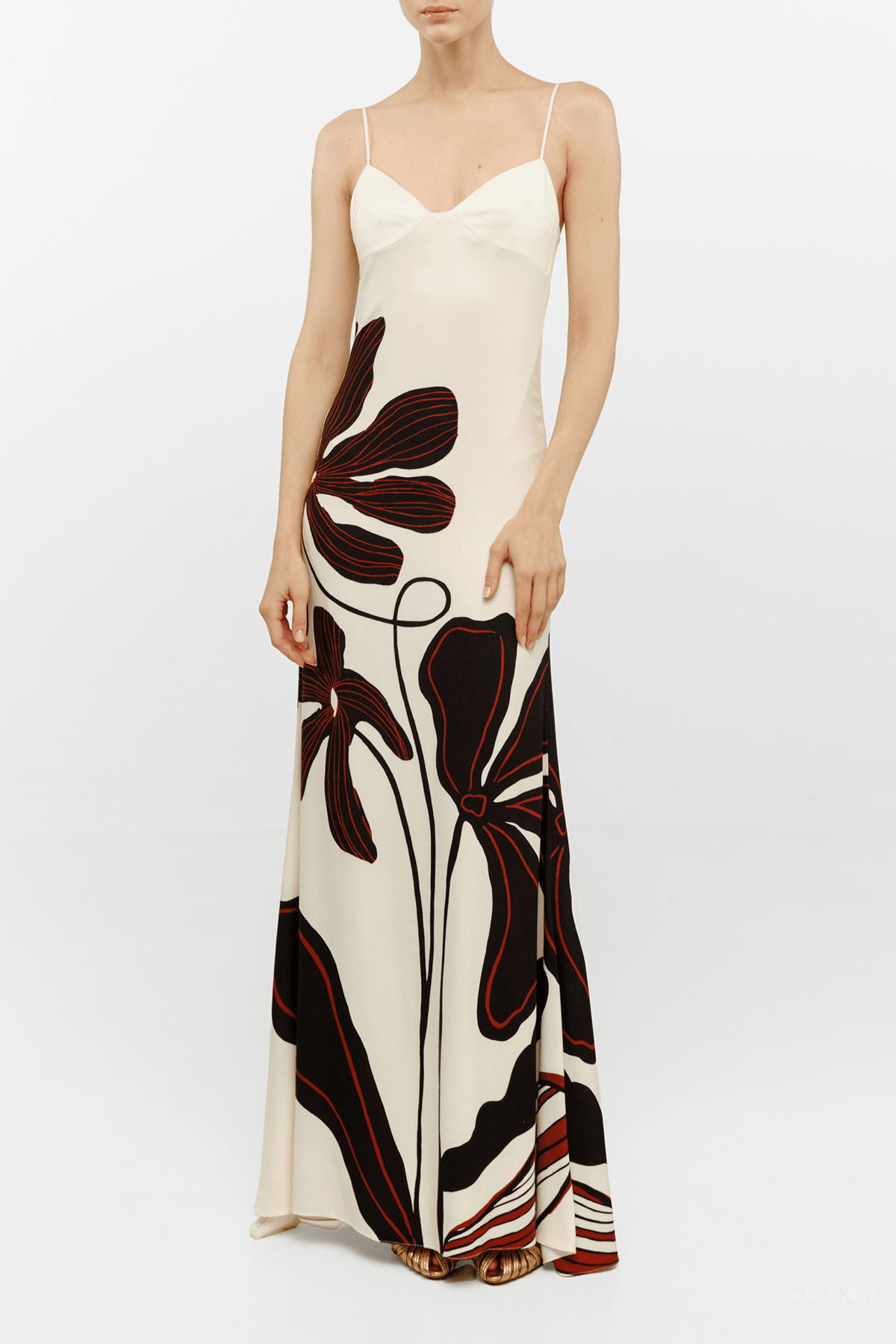 Pontevedra Maxi Dress in Reverie - shop-olivia.com