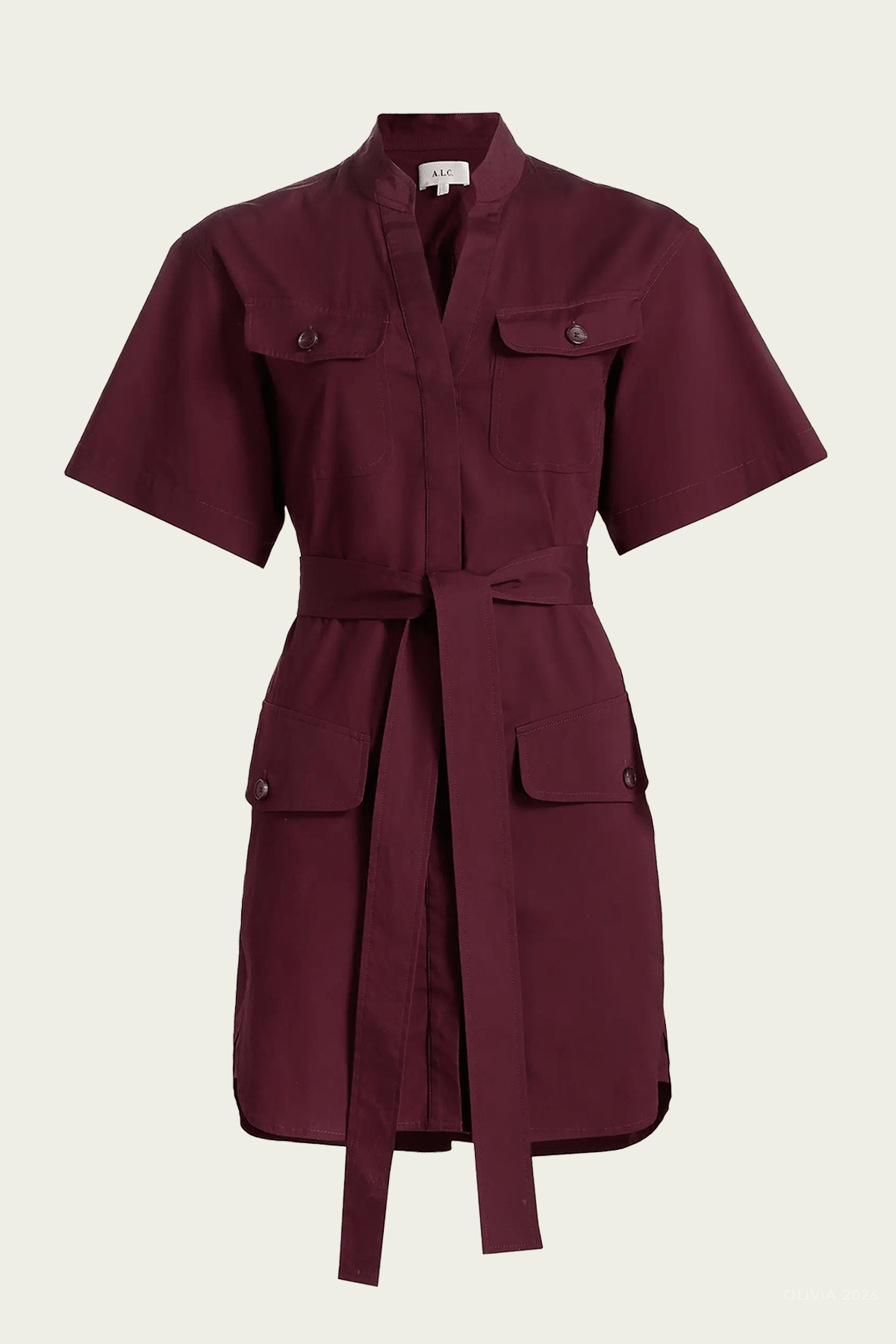 Quinn Mini Shirt - Dress in Plum - shop - olivia.com