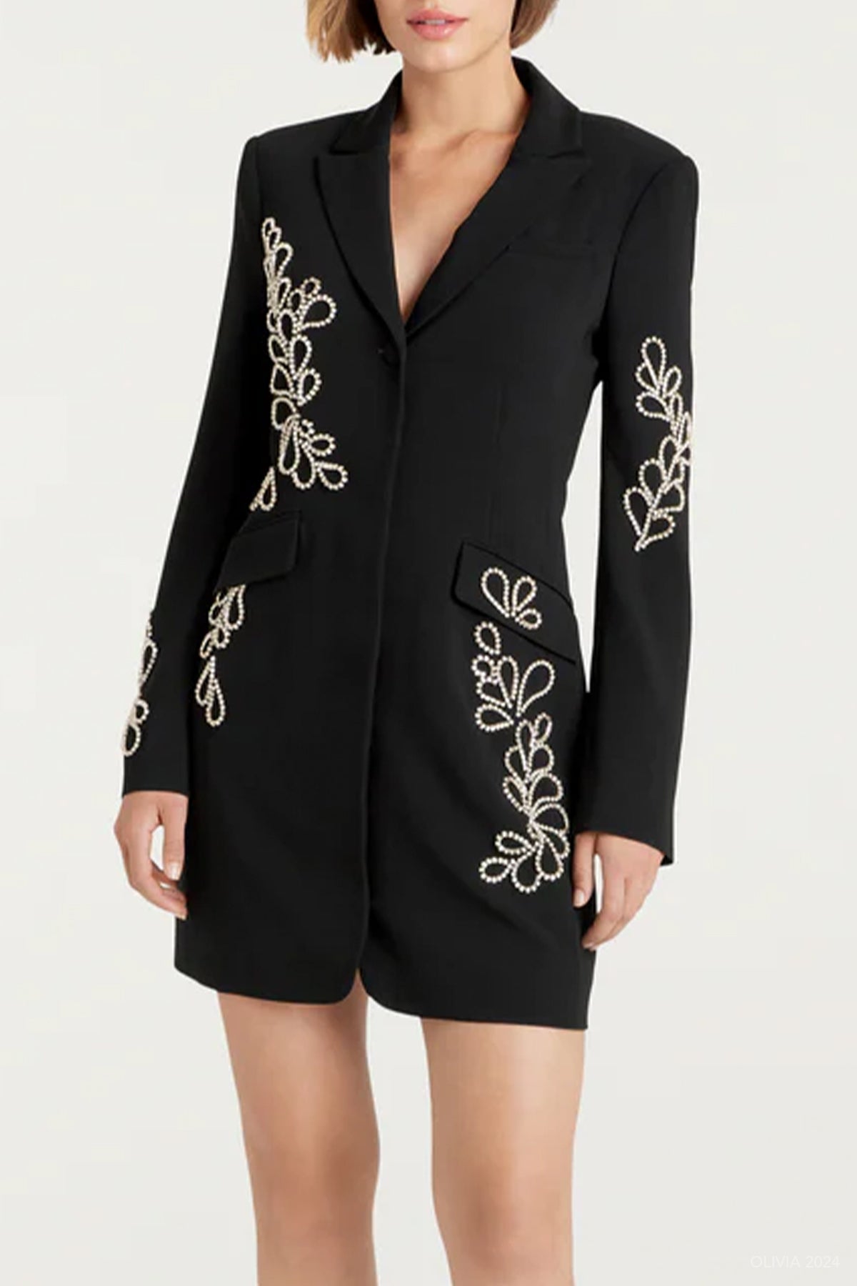 Rhinestone Paisley Long Sleeve Joel Dress in Black - shop - olivia.com