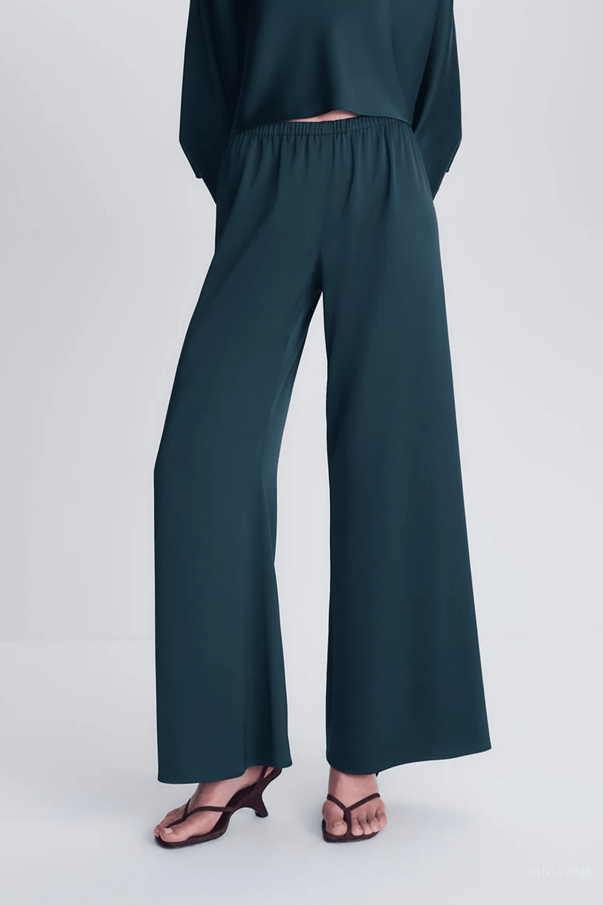 Roni Satin Pant in Dark Spruce - shop-olivia.com