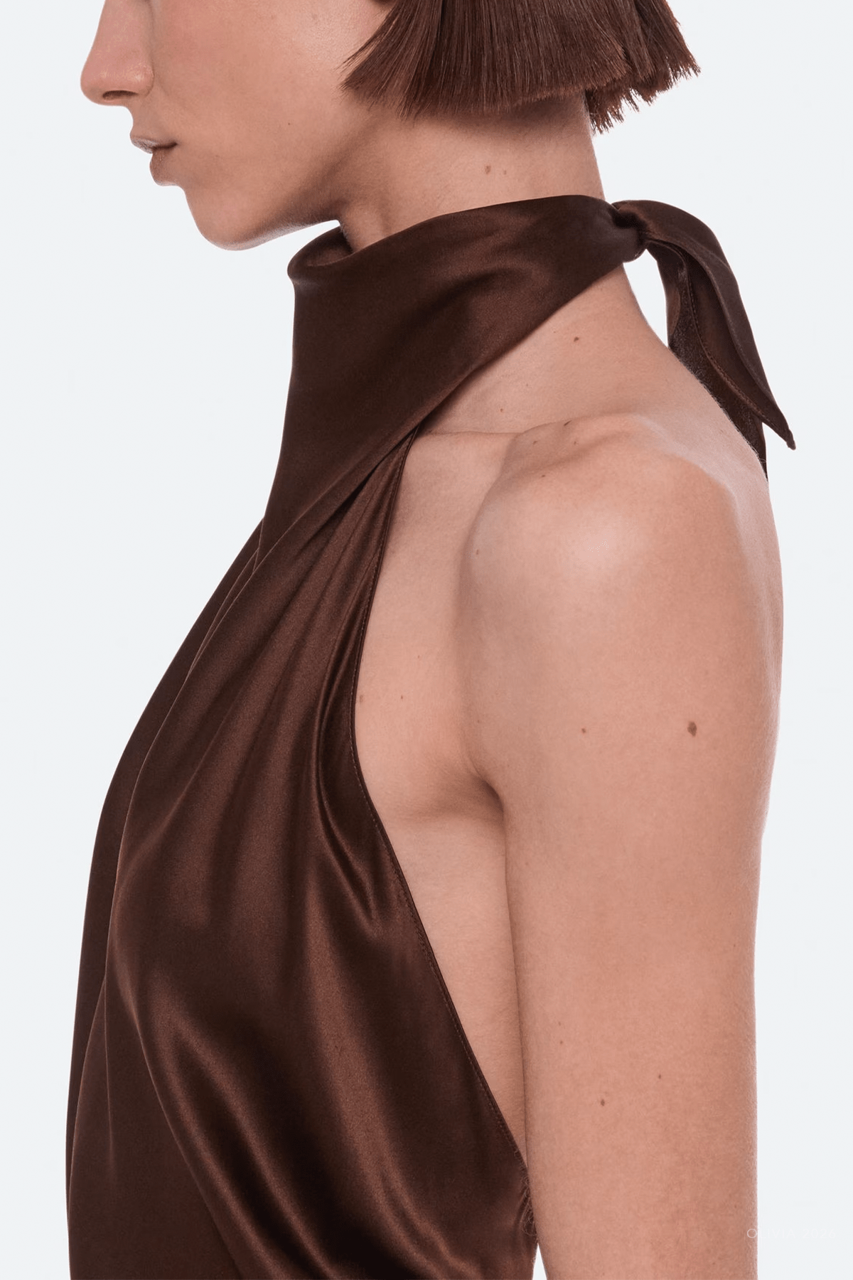 Silk Tie Scarf Dress in Serra - shop-olivia.com