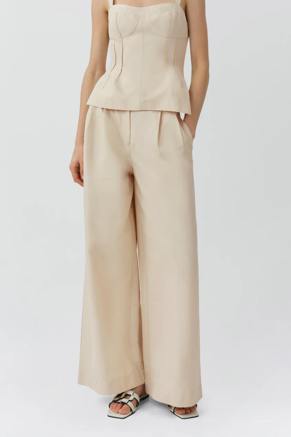 Leroy Pleated Wide Leg Pant in Stone