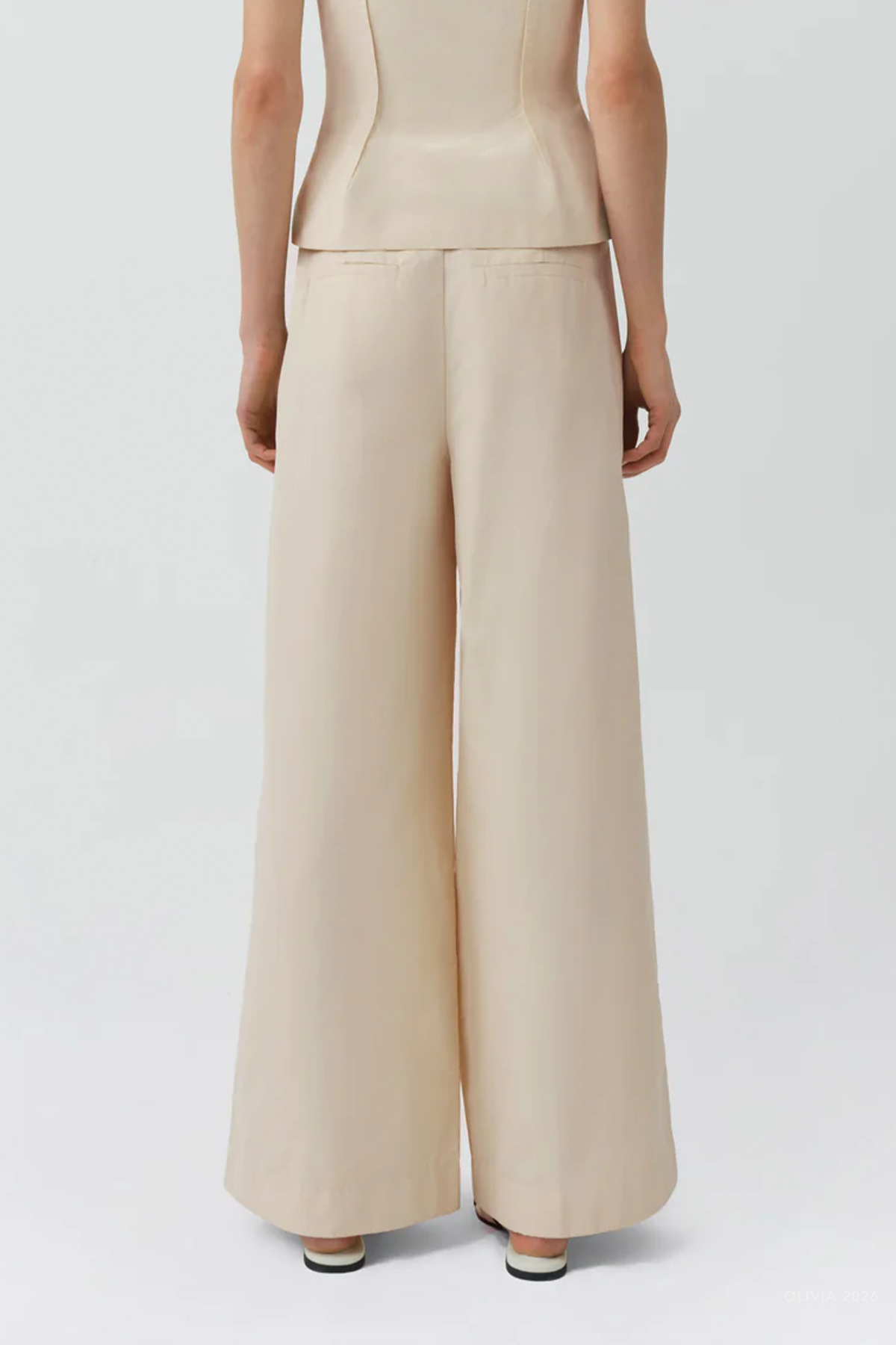Leroy Pleated Wide Leg Pant in Stone