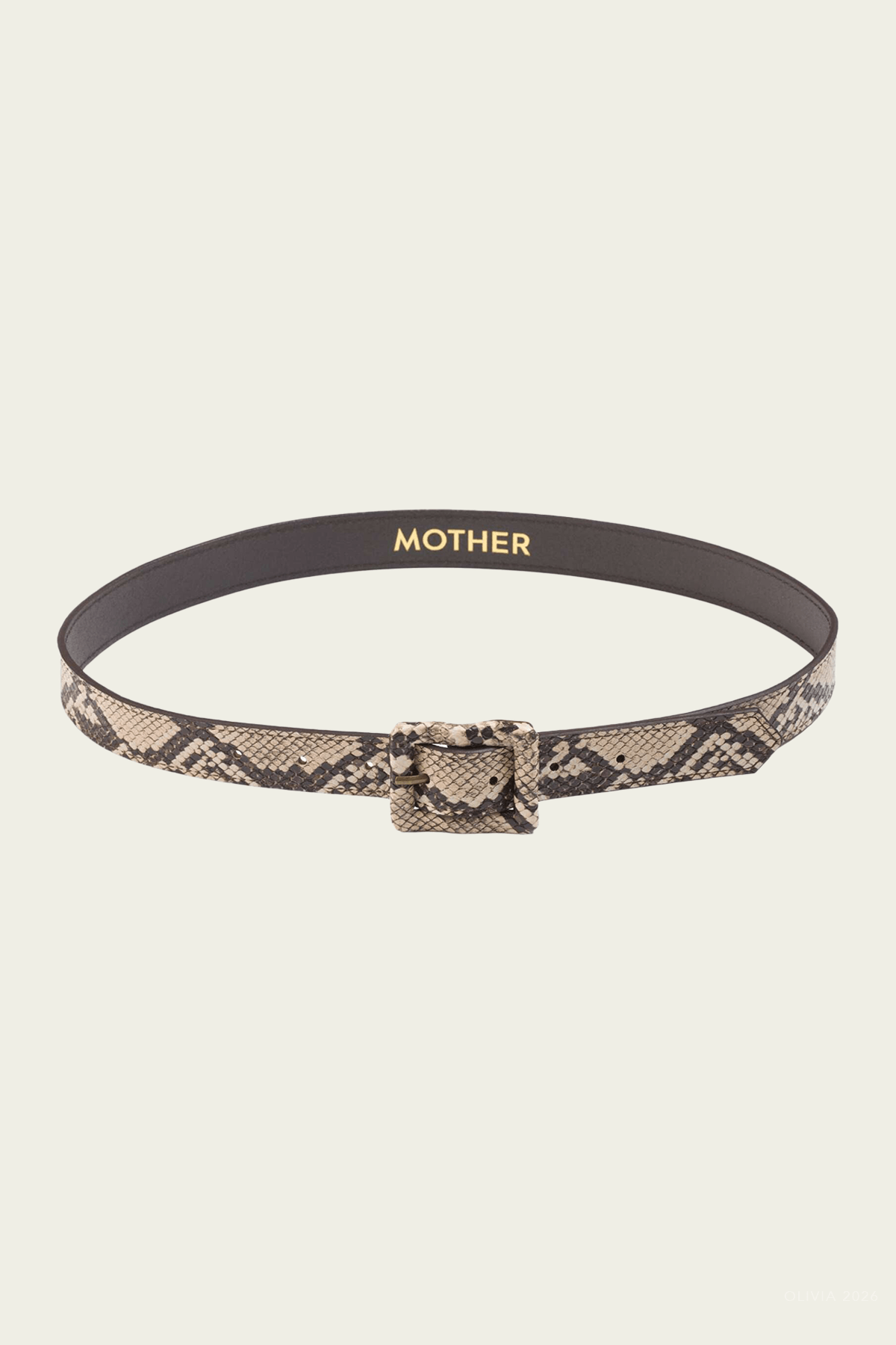 The Constructor Belt in Constructor - shop-olivia.com