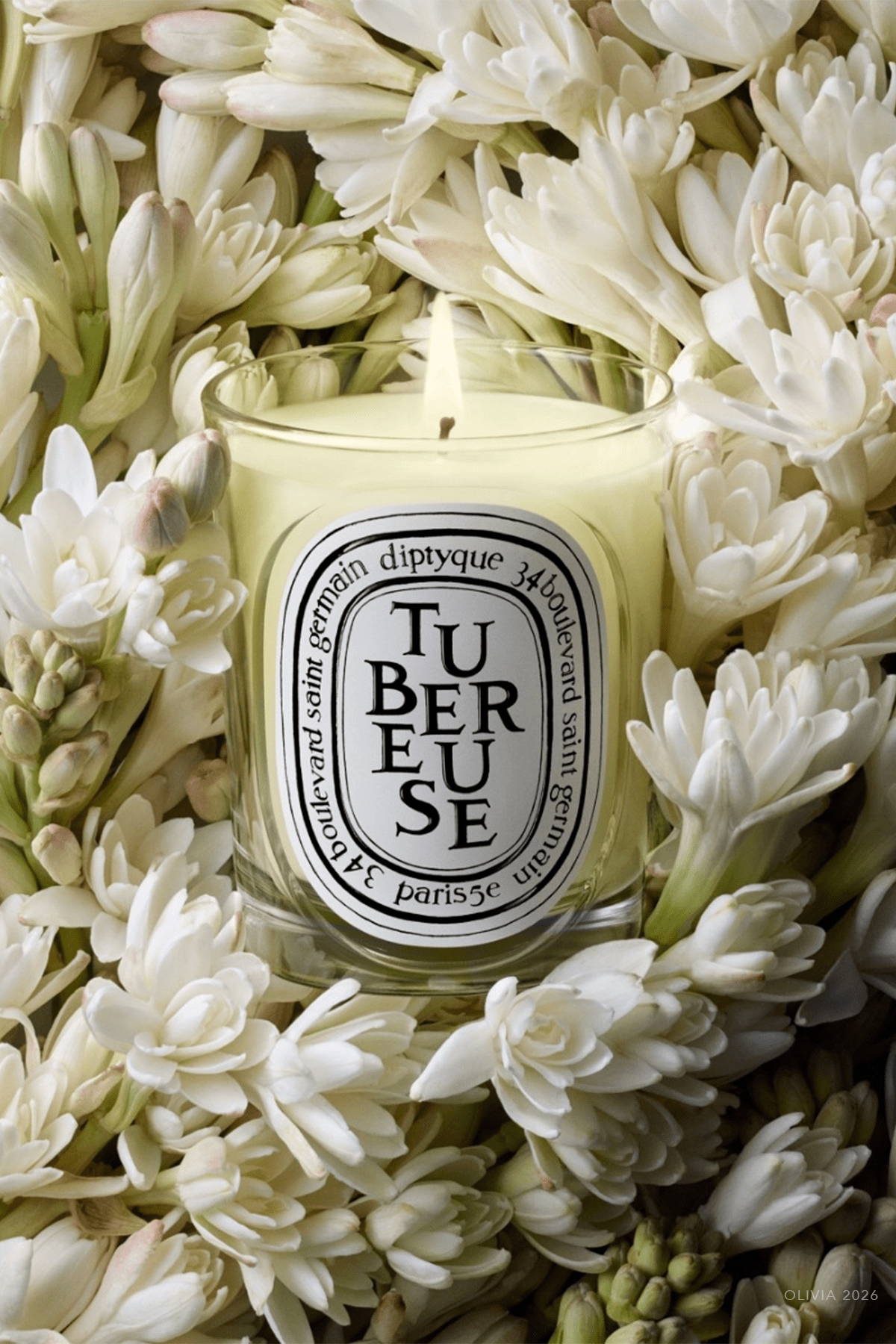 Tuberose Classic Candle 6.7oz - NEW VERSION - shop - olivia.com