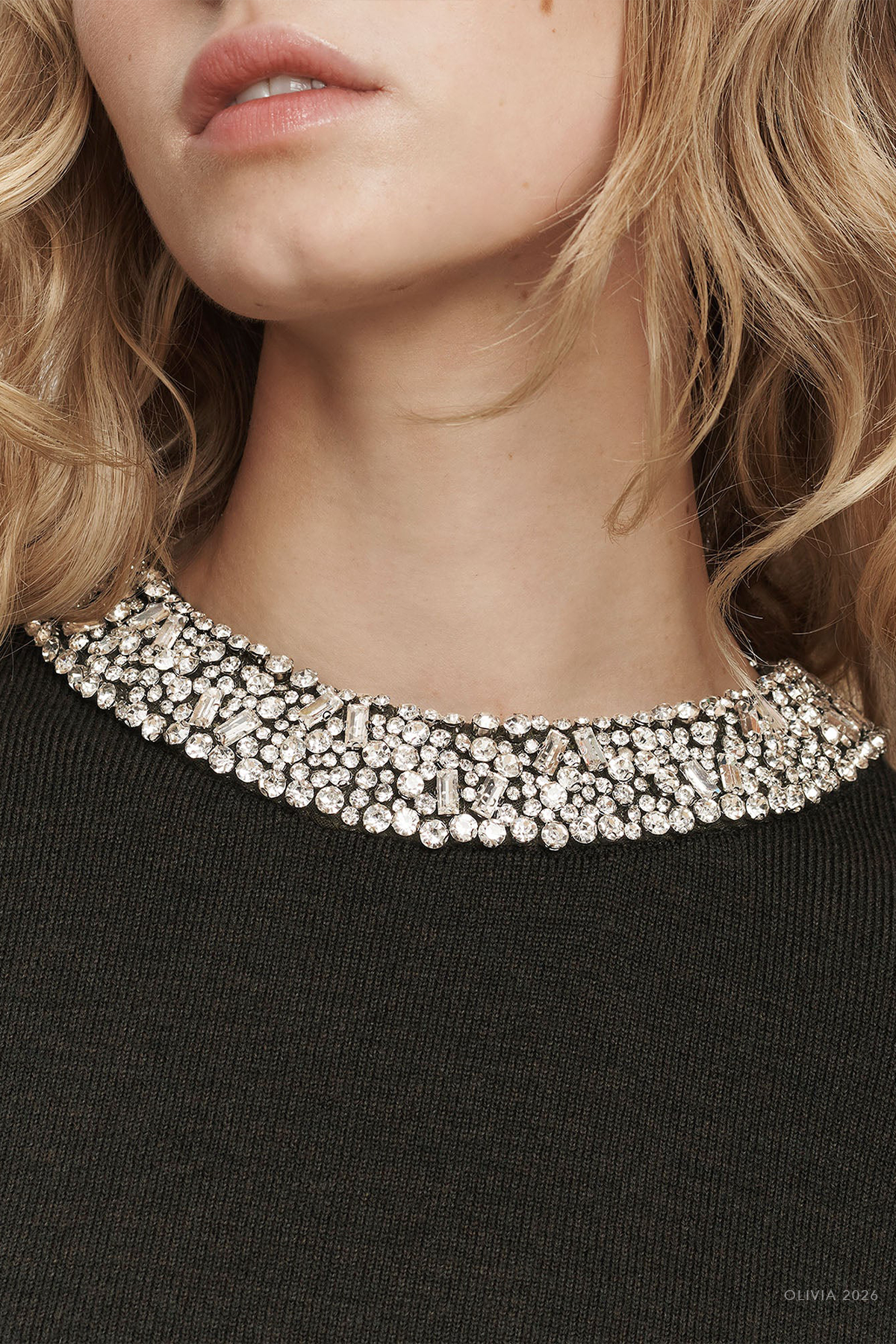 Daro Embellished Sweater in Green Shadow