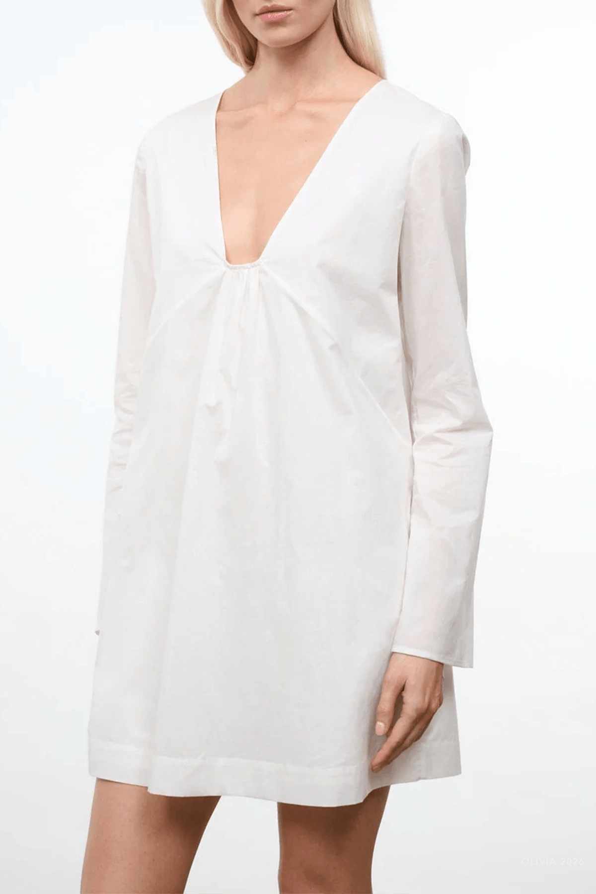 Vivi Dress in Ivory - shop - olivia.com