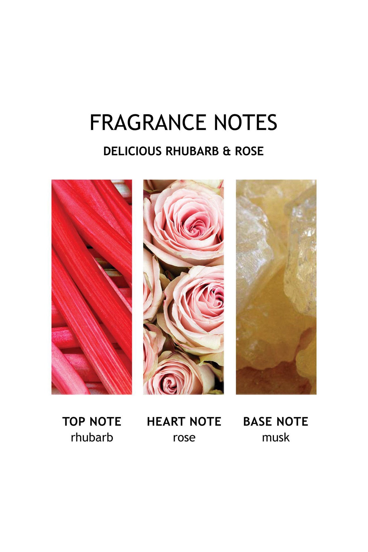 Delicious Rhubarb & Rose Fine Liquid Hand Wash 300ml