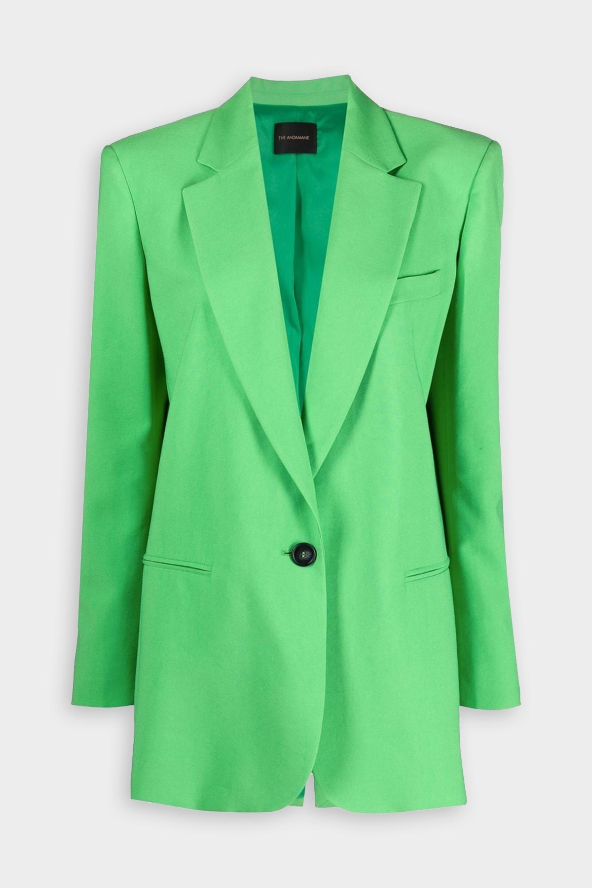 Guia Oversize Blazer in Green - shop-olivia.com