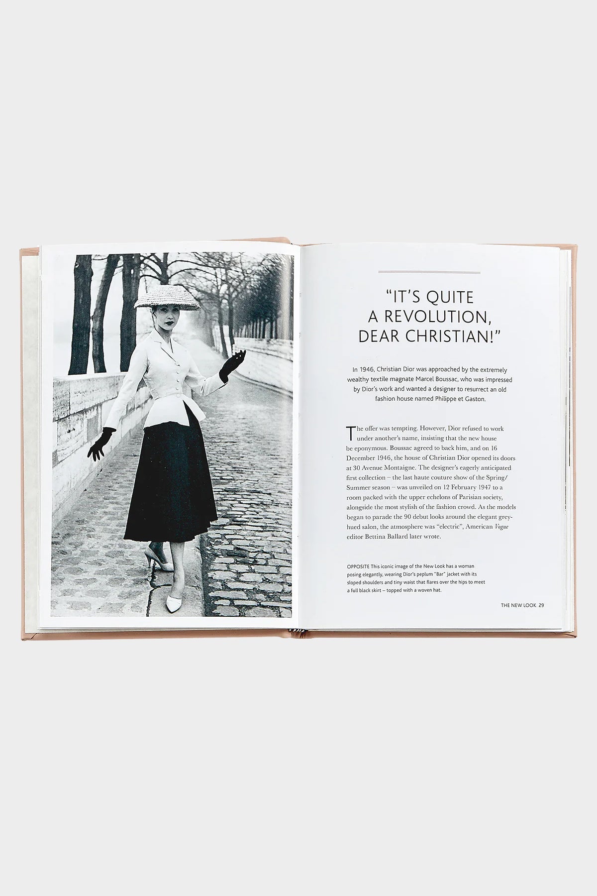 Little Book Of Dior - shop-olivia.com