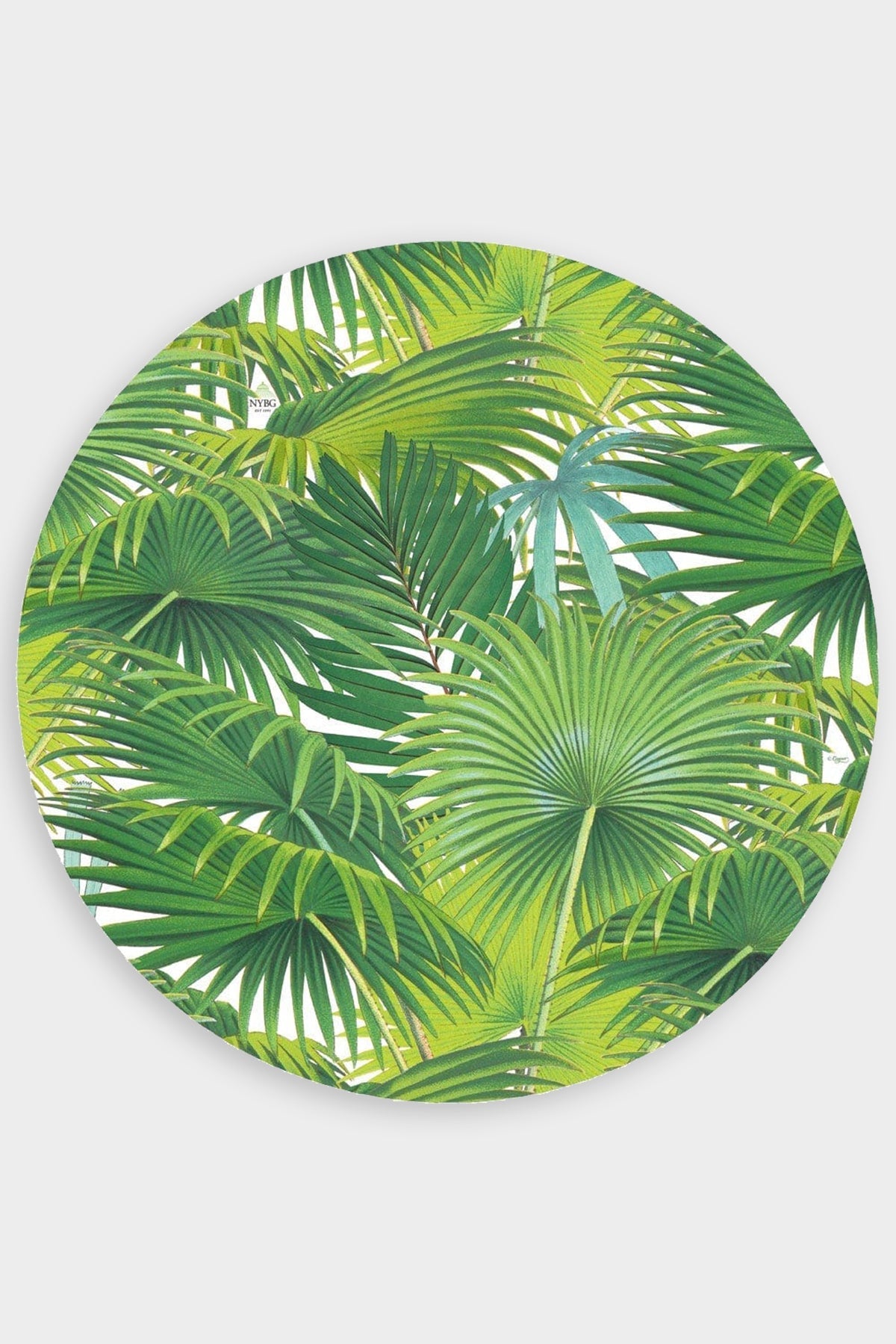 Palm Fronds Round Paper Placemats